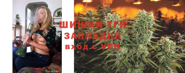 стафф Зерноград