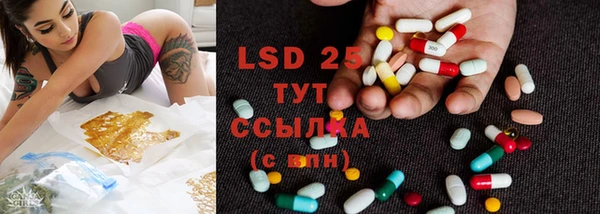 стафф Зерноград