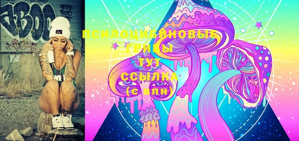 стафф Зерноград