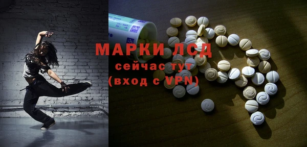 стафф Зерноград