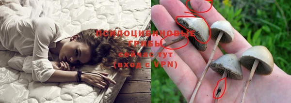 Альфа ПВП Зеленодольск